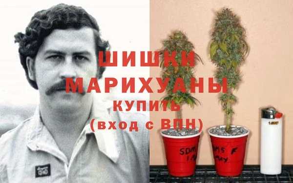 COCAINE Гусь-Хрустальный