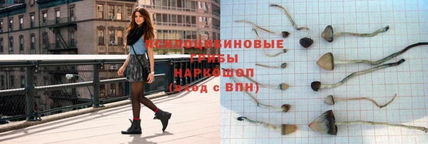 COCAINE Гусь-Хрустальный